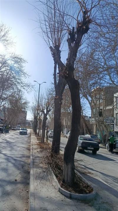 🌿راز طراوت و زیبایی فضای سبز شهر نهاوند